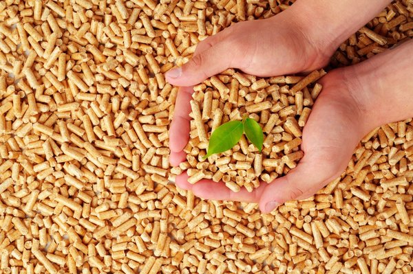 Quelles sont les principales informations à connaître sur les bioactifs naturels ?